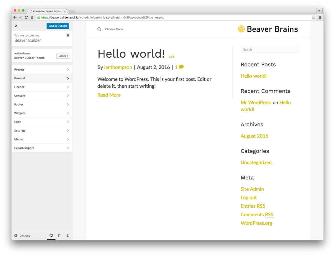 Quickly build a unique look and feel for your site using the Beaver Builder theme customiser