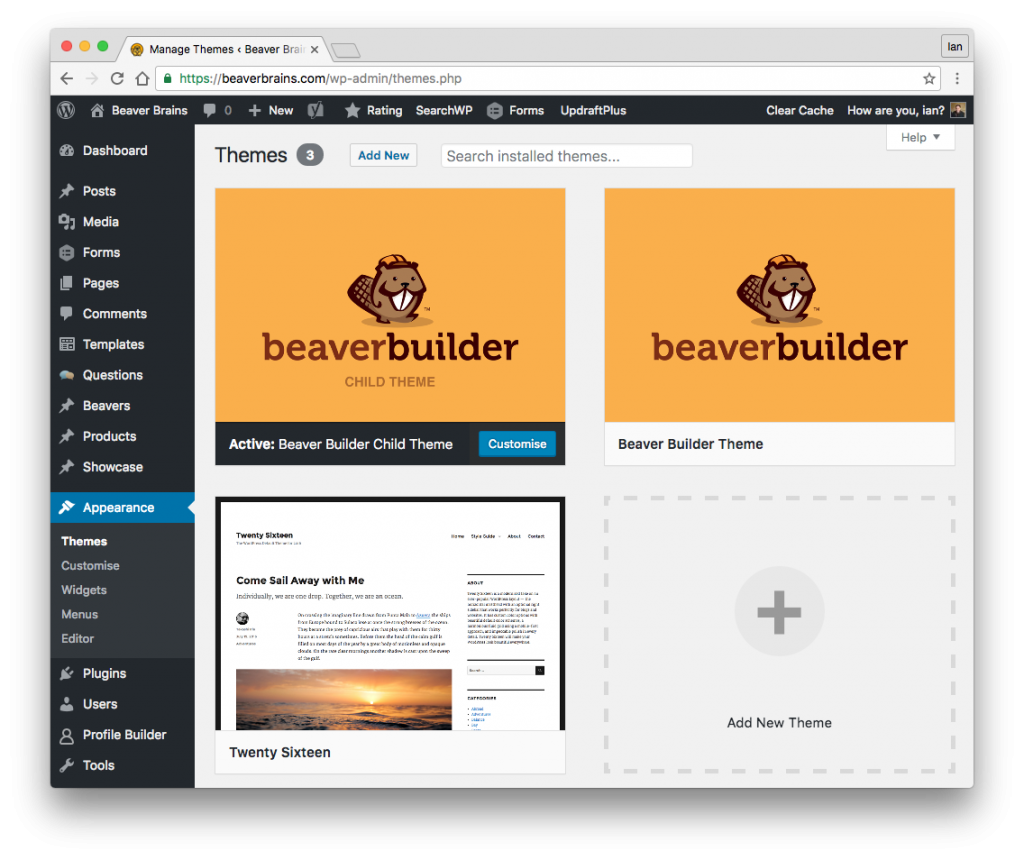 beaver builder themes