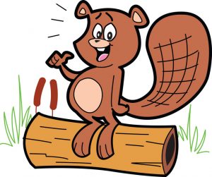 beaver-on-a-log